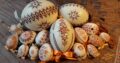 Veľkonočné vajíčka / kraslice, maľované a vŕtané