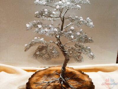 Súkromné: Bonsai-ruženin